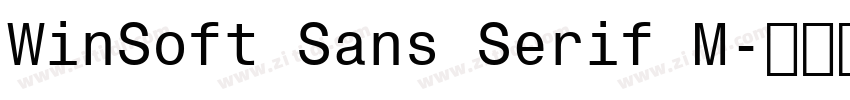 WinSoft Sans Serif M字体转换